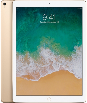 iPad Pro 256Gb WiFi Gold купить в интернет-магазине Apples-Lab.Ru 