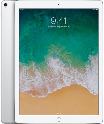 iPad Pro 256Gb WiFi+Cellular Silver купить в интернет-магазине Apples-Lab.Ru 