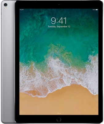 iPad Pro 512Gb WiFi Space Gray купить в интернет-магазине Apples-Lab.Ru 